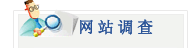 網站調查